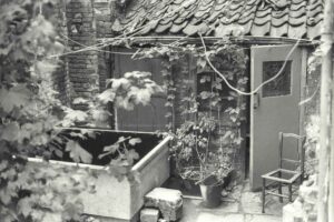 Shared back garden, 58-66 Euston Street, 1975
