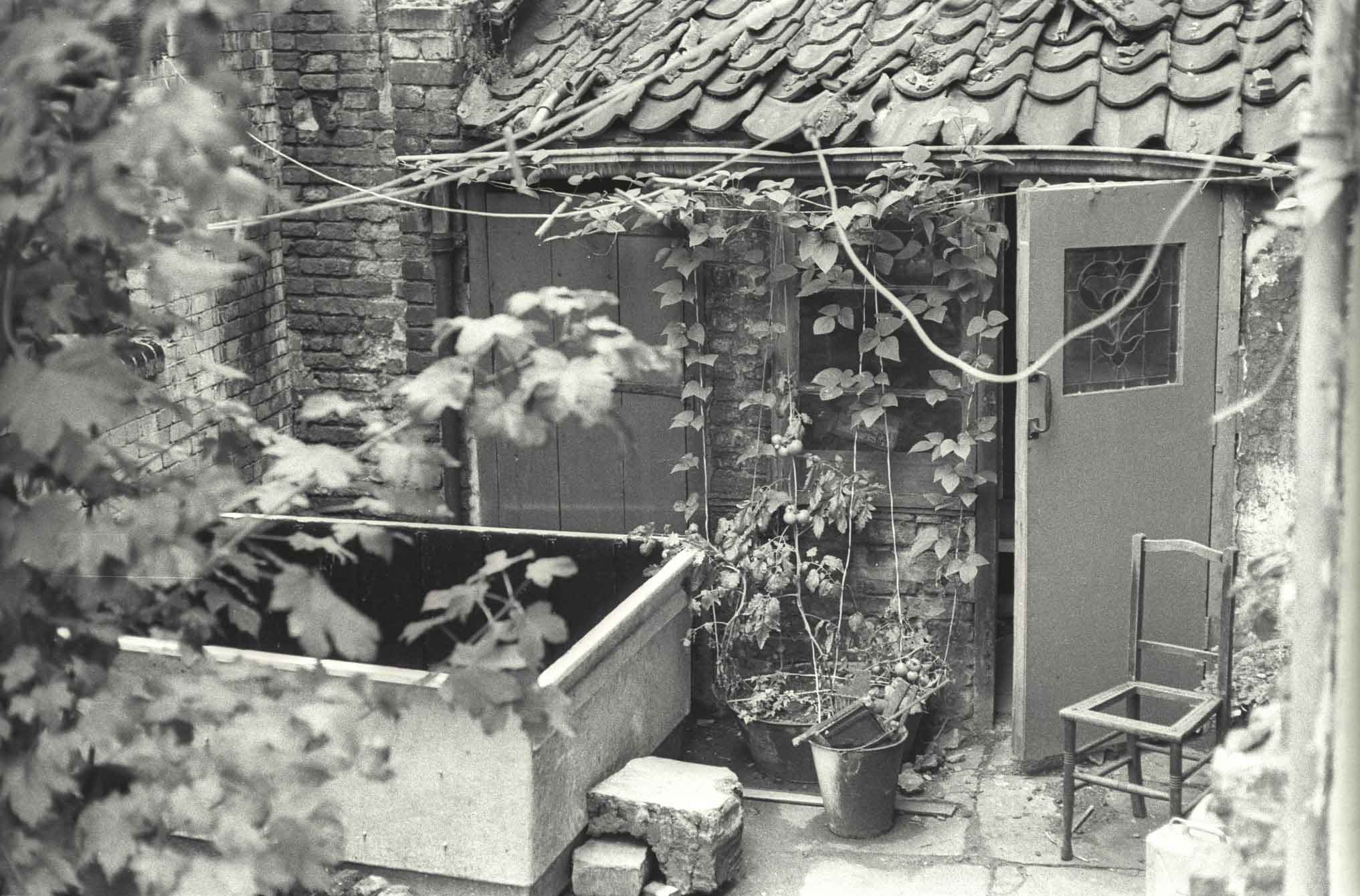 Shared back garden, 58-66 Euston Street, 1975