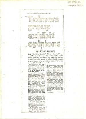 Tolmers group exhibit opinions