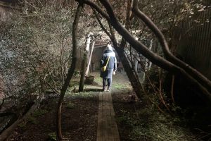 Woodland grotto